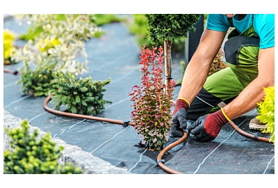 Naziemny czy podziemny? Wybieramy najlepszy system nawadniania