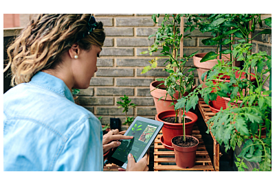 Top 5 aplikacji dla ogrodników 