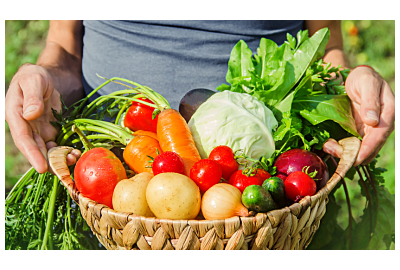 Uprawa warzyw -  czy jest opłacalna?