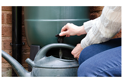 Zbieranie deszczówki: 4 pomysły na pobieranie i magazynowanie wody deszczowej