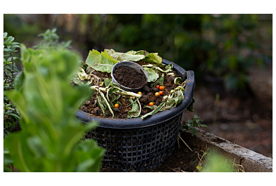 Jak założyć kompostownik w ogrodzie