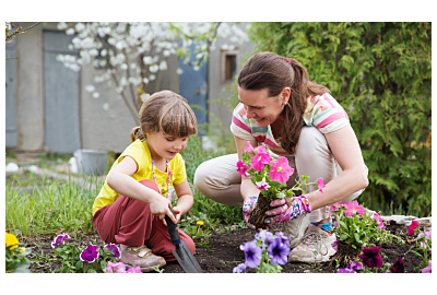 jak przygotować ogród na wiosnę