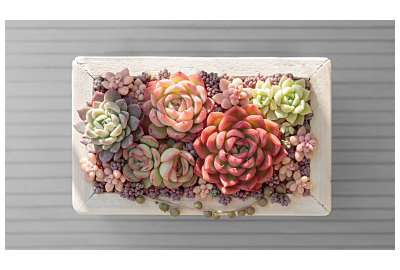 Styl Kawaii. Pastelowy trend w ogrodzie