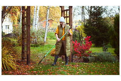 kobieta grabiąca liście w ogrodzie jesienią 