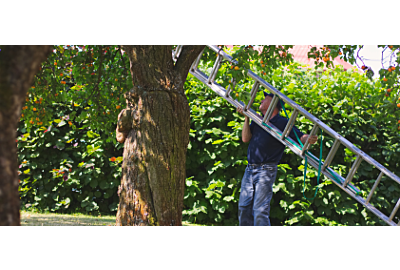 Drabiny ogrodowe: teleskopowe, składane, wielofunkcyjne