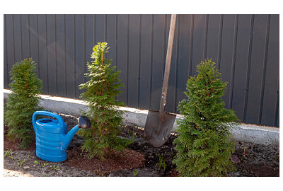 Aranżacja ogrodu przy płocie: Zrób to sam – proste kroki do stworzenia przestrzeni