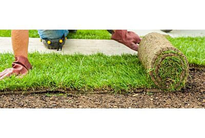 Jak dbać o trawnik z rolki