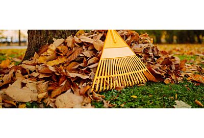 Jesienne porządki w ogrodzie – jak przygotować się na zimę?