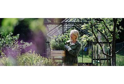 Jak efektywnie wykorzystać przestrzeń w szklarni?