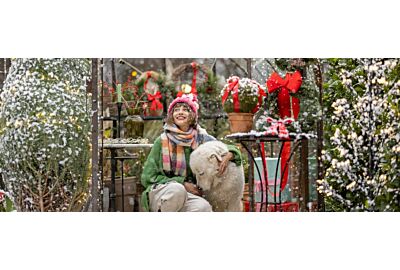 Jakie rośliny najlepiej sprawdzą się w ogrodzie zimowym?