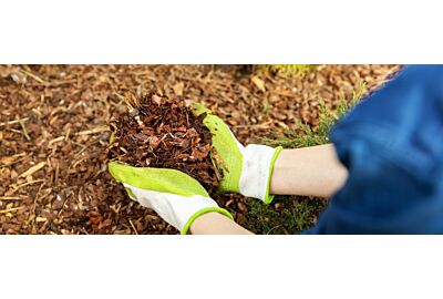 Dlaczego ściółkowanie korą to ogrodniczy „must-have”?