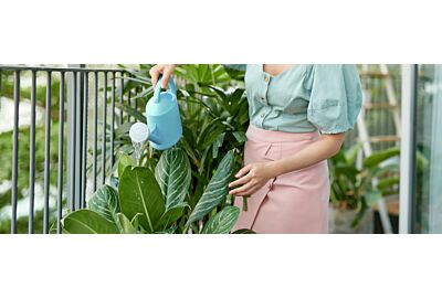 Tropikalny klimat na balkonie