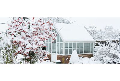 Jakie rośliny najlepiej uprawiać w szklarni zimą?