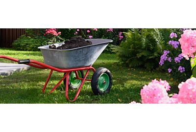 Wiosenne porządki w ogrodzie – krok po kroku