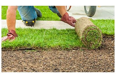 Jak dbać o trawnik z rolki