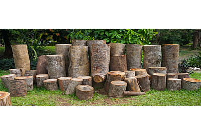 Drewutnia ogrodowa – Jak zabezpieczyć drewno? Praktyczny poradnik