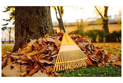 Jesienne porządki w ogrodzie – jak przygotować się na zimę?