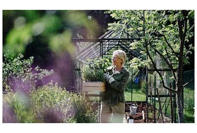 Jak efektywnie wykorzystać przestrzeń w szklarni?