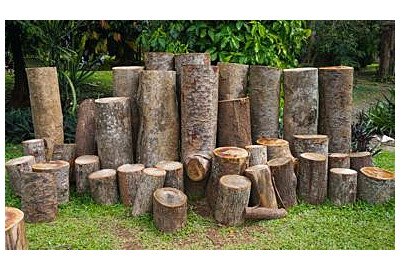 Drewutnia ogrodowa – Jak zabezpieczyć drewno? Praktyczny poradnik