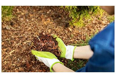 Dlaczego ściółkowanie korą to ogrodniczy „must-have”?