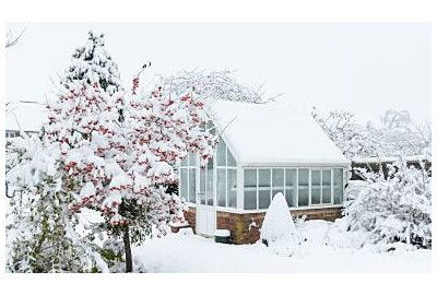Jakie rośliny najlepiej uprawiać w szklarni zimą?