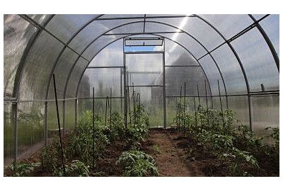 Uprawa warzyw w tunelach foliowych – poradnik dla początkujących