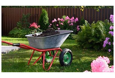 Wiosenne porządki w ogrodzie – krok po kroku