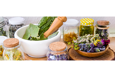 Chwasty, które leczą 