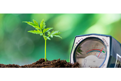 Jak sprawdzić pH gleby?