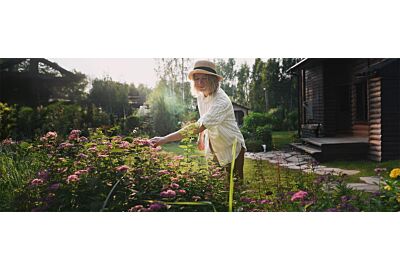 Kwiaty, które odmienią Twój ogród w ciągu jednego sezonu