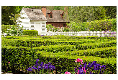 Angielski ogród - jak zaprojektować romantyczną przestrzeń pełną uroku?