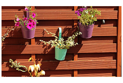 Aranżacja ogrodu przy płocie: Pomysły, rośliny i inspiracje na efektowną przestrzeń