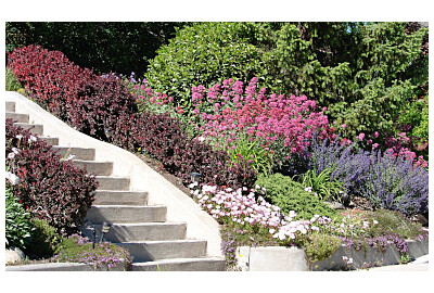 Nowoczesna skarpa w ogrodzie – inspiracje, aranżacje i praktyczne rozwiązania