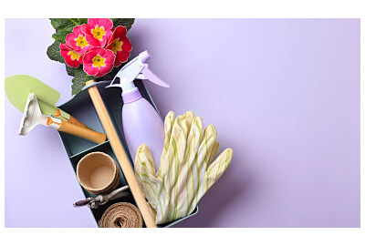 Organizacja ogrodu - jak uporządkować przestrzeń dzięki domkom i skrzyniom?	