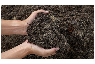 Przygotowanie ziemi w ogrodzie na zimę krok po kroku