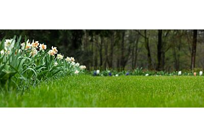 Zielony trawnik w upalne dni – poradnik dla ogrodników