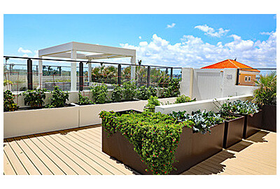 Jak stworzyć mini ogród warzywny na tarasie lub balkonie?