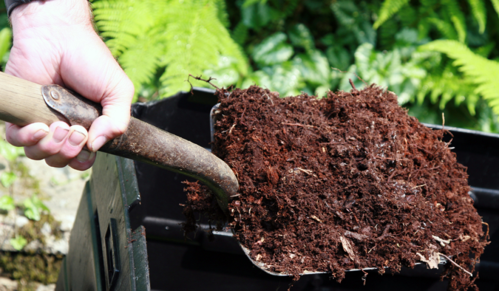 planowanie ogrodu i prace z rozrzucaniem kompostu przez zimową porą