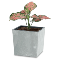 Donica niska Urbi Square Low Beton Effect 24x24x23,5cm beton - PROSPERPLAST