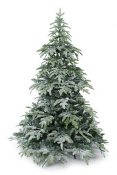 Choinka świerk talkowany FROSTINE, wysokość 210cm