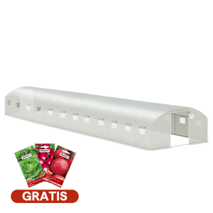 Zdjęcie z nasionami 007296