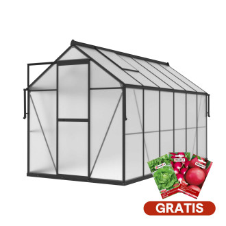 aranżacja na tarasie czarnej szklarni na pomidory "slide in"