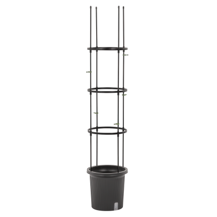 Pełny widok na doniczkę ze stojakiem do uprawy pomidorów TOMATO TUBE 8x28x148cm - CULTIVO