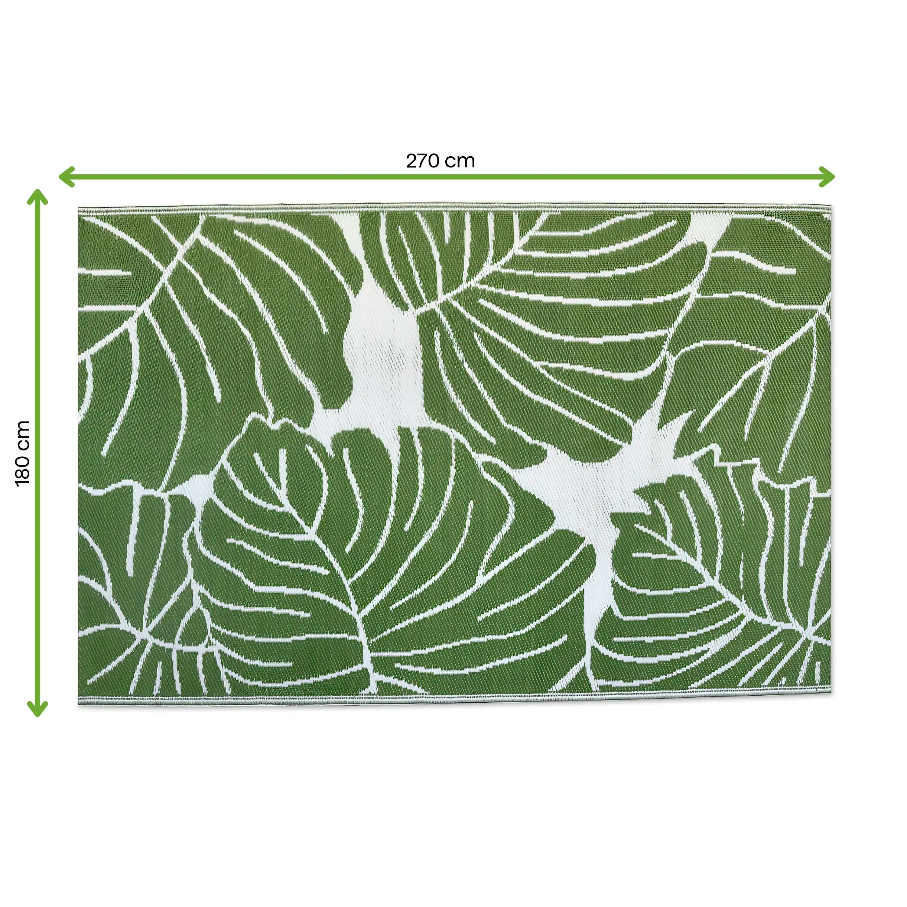 monstera thai constellation price Thai Monstera Constellation | Including Care Guide main image 1