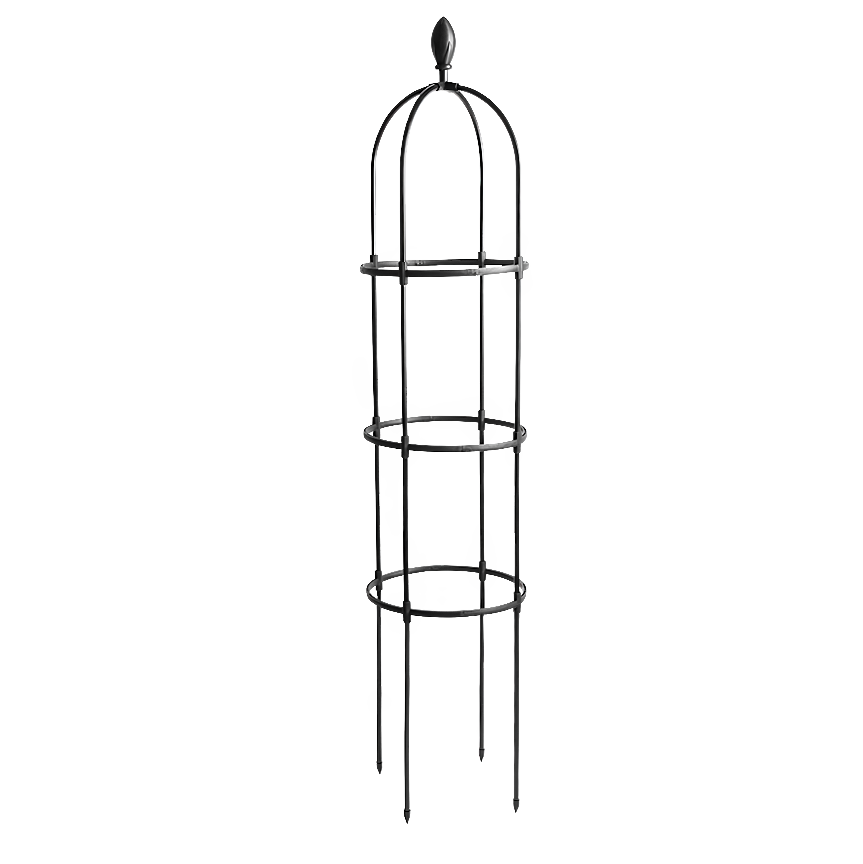 Pergola na rośliny pnące