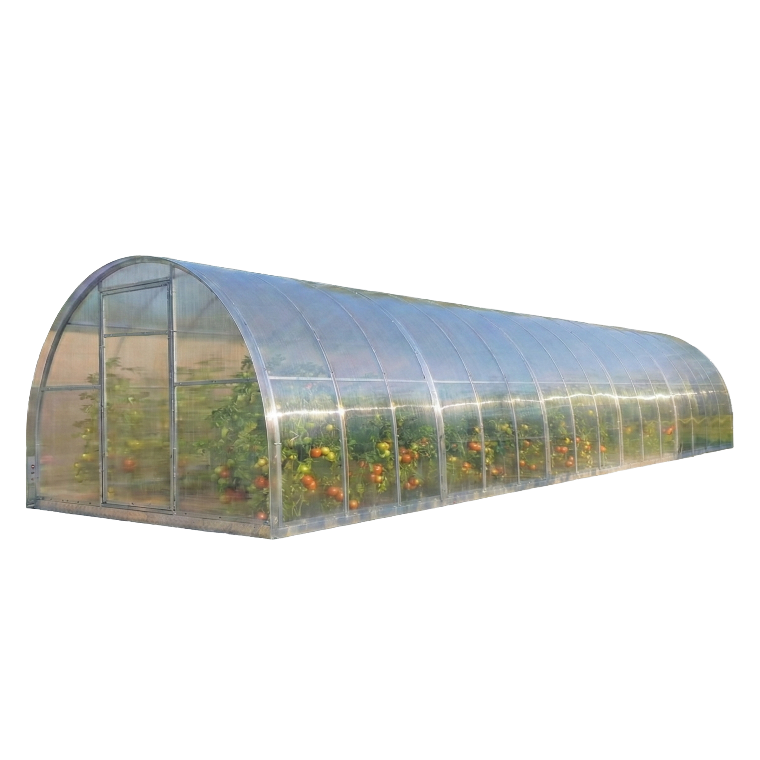 Szklarnia ogrodowa poliwęglanowa 6 mm CEPRA 3 x 10 m – Cultivo