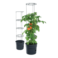 Doniczka do pomidorów Tomato Grower śr.30cm, antracytowa - PROSPERPLAST