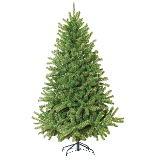 Gęsta choinka świerk WINTERBERRY wys. 250cm ze stojakiem