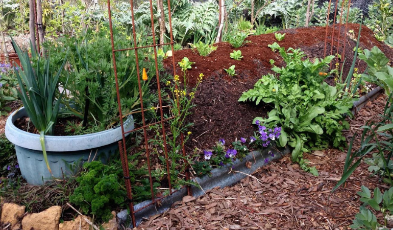 grządka hugelkulturowa 
