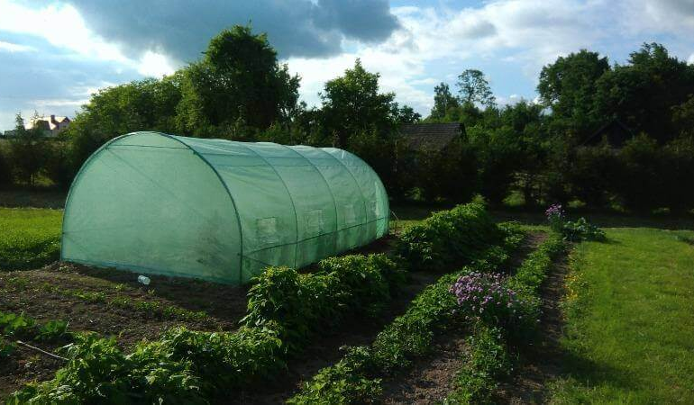 zielona folia ogrodowa 